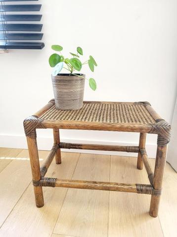 Rotan vintage bijzettafel of plantentafel beschikbaar voor biedingen