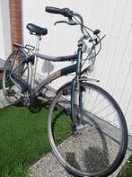 Oxford Newland, Fietsen en Brommers, 53 tot 57 cm, Ophalen, Gebruikt
