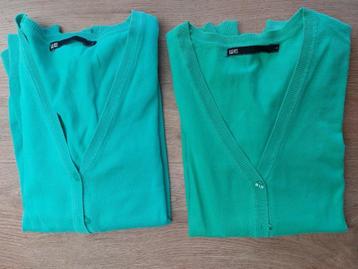 pulls, sweaters et gilets en taille L, Enlèvement ou Envoi, Porté, Taille 42/44 (L), Autres couleurs