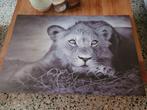 Canvas leeuw, Huis en Inrichting, Ophalen, Gebruikt