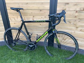 Koersfiets Sensa Umbria Sora (2018) - klaar voor vele ritten beschikbaar voor biedingen