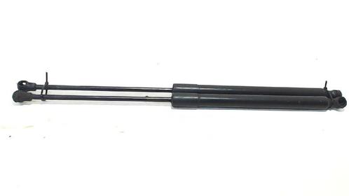 GASDRUKVEERSET ACHTER Citroën C3 (SC) (9683733980), Auto-onderdelen, Ophanging en Onderstel, Citroën, Gebruikt