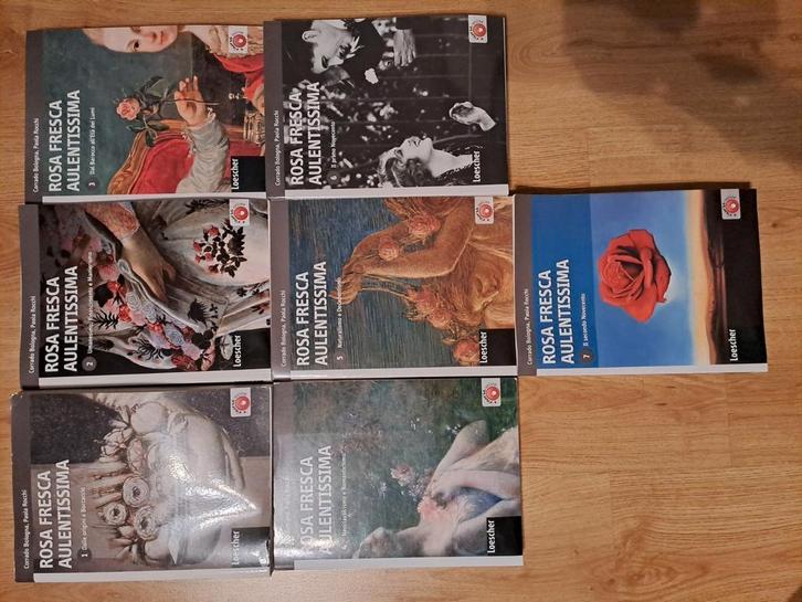 Rosa fresca aulentissima - Italiaanse literatuurgeschiedenis, Boeken, Literatuur, Gelezen, Ophalen of Verzenden