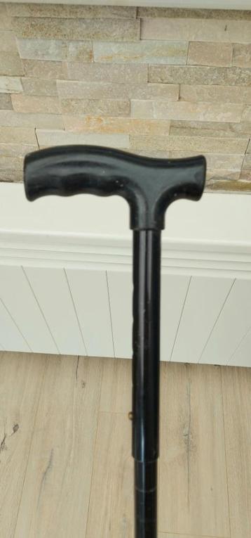 Wandelstok (2) beschikbaar voor biedingen