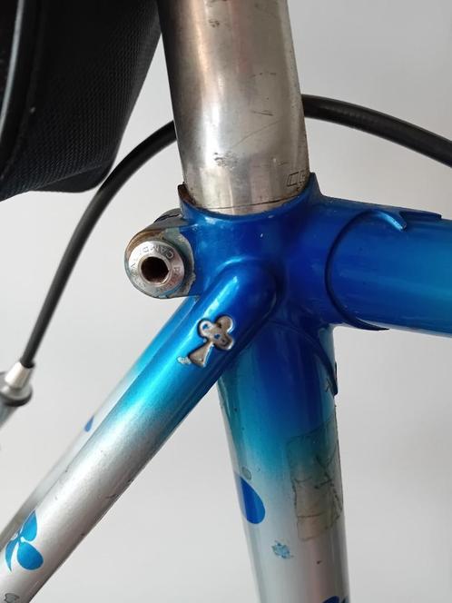Stalen racefiets Colnago collectors item, Fietsen en Brommers, Fietsen | Racefietsen, Gebruikt, Heren, Overige merken, Meer dan 20 versnellingen