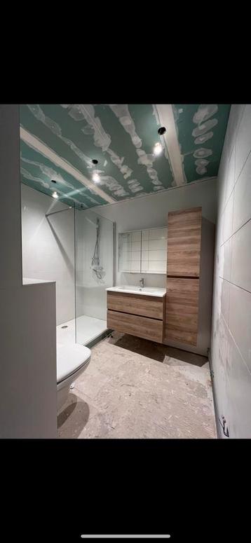 Totaalrenovaties, Enlèvement