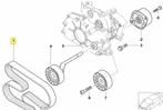Multiriem BMW E46 320D oe 12311268675 org nieuw bmw, Auto-onderdelen, Nieuw, Ophalen of Verzenden, BMW