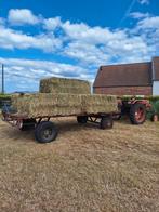 HOOI 2025, Dieren en Toebehoren, Dierenvoeding, Ophalen