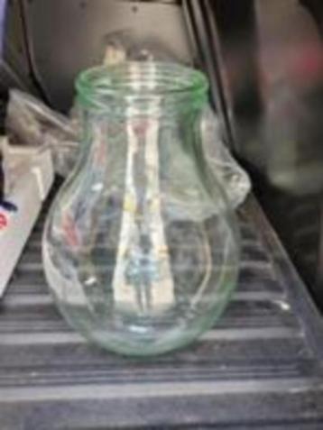 Vaas belly buik beschikbaar voor biedingen