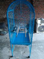 Te koop kooi prijs 60 euro  3 maanden oud  afhalen aalbeke, Dieren en Toebehoren