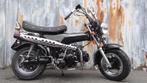 Nouveau DAX Low Rider noir Classe A ou B, 4 vitesses, Enlèvement ou Envoi, Neuf, 49 cm³