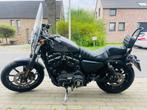 Harley Davidson IRON 883, Motoren, Motoren | Harley-Davidson, Particulier, 883 cc, Chopper, Meer dan 35 kW