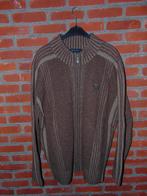 Vest in lamswol in zeer goede staat, Kleding | Heren, Ophalen of Verzenden, Gedragen, Maat 56/58 (XL), Bruin