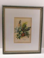aquarel wilde bloemen, Ophalen