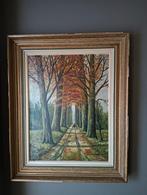 Boszicht, Antiek en Kunst, Kunst | Schilderijen | Klassiek, Ophalen