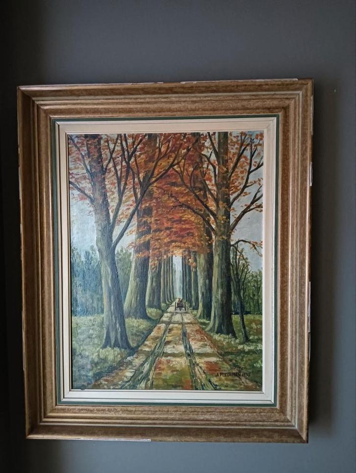 Boszicht, Antiek en Kunst, Kunst | Schilderijen | Klassiek, Ophalen