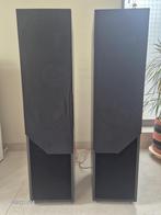 Haut parleur Dali, Audio, Tv en Foto, Luidsprekerboxen, Gebruikt, 120 watt of meer, Front, Rear of Stereo speakers, Ophalen