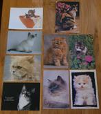 9 cartes postales thème chat, Collections, Cartes postales | Animaux, Chien ou Chat, Non affranchie, 1980 à nos jours, Enlèvement ou Envoi