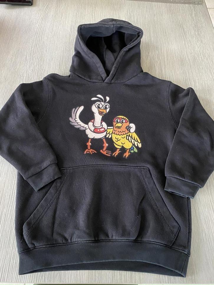 Hoodie GMNR Karel & Coco - maat 134/146, Enfants & Bébés, Vêtements enfant | Taille 134, Comme neuf, Garçon ou Fille, Pull ou Veste