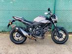 SV650 X_KMst 5701 _BJ 2018__JACQMAER, Motoren, Motoren | Suzuki, 2 cilinders, Motorrijbewijs A, Bedrijf, Meer dan 35 kW