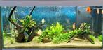 2 stukken hout voor aquarium, Dieren en Toebehoren, Vissen | Aquaria en Toebehoren, Ophalen, Zo goed als nieuw