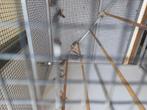 Kanaries van 2025   gsm o479793262, Dieren en Toebehoren, Vogels | Kanaries