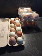 Œufs frais, Animaux & Accessoires, Enlèvement