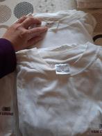 2x witte T-shirts XXL – set (opdruk:Van Leeuwen), Kleding | Heren, Ophalen of Verzenden