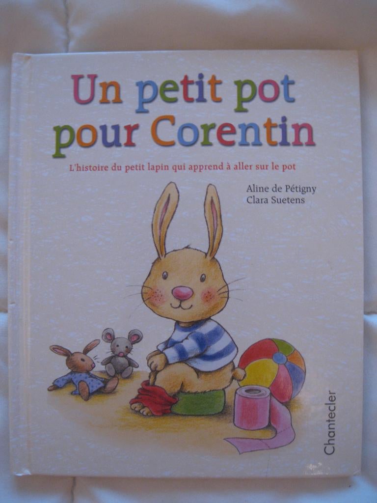 Boek Een kleine pot voor Corentin, Ophalen of Verzenden, Zo goed als nieuw, 2 tot 3 jaar