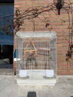 Cage pour oiseau, Animaux & Accessoires, Enlèvement, Comme neuf, Métal, Cage à oiseaux