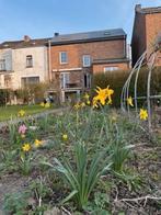 Maison 6 chambres, Immo, Huizen te huur, Direct bij eigenaar, Vrijstaande woning, 210 m², Provincie Luxemburg