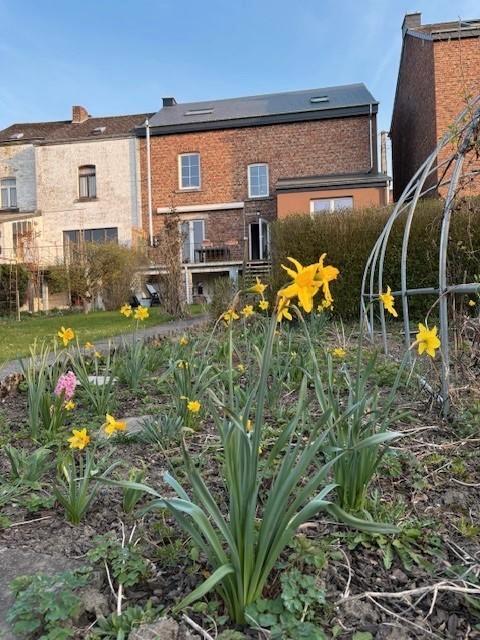 Maison 6 chambres, Immo, Huizen te huur, Provincie Luxemburg, Vrijstaande woning, Direct bij eigenaar, C