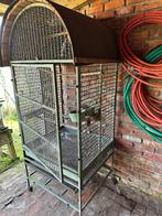 Gratis 3 vogelkooien, Dieren en Toebehoren, Ophalen, Gebruikt, Overige typen