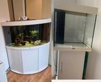 2 Aquarium complets 350l trigon fluval fx4 +100l Juwel., Enlèvement, Utilisé, Aquarium d'eau douce rempli