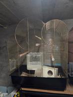 Vogelkooi, Dieren en Toebehoren, Ophalen, Vogelkooi