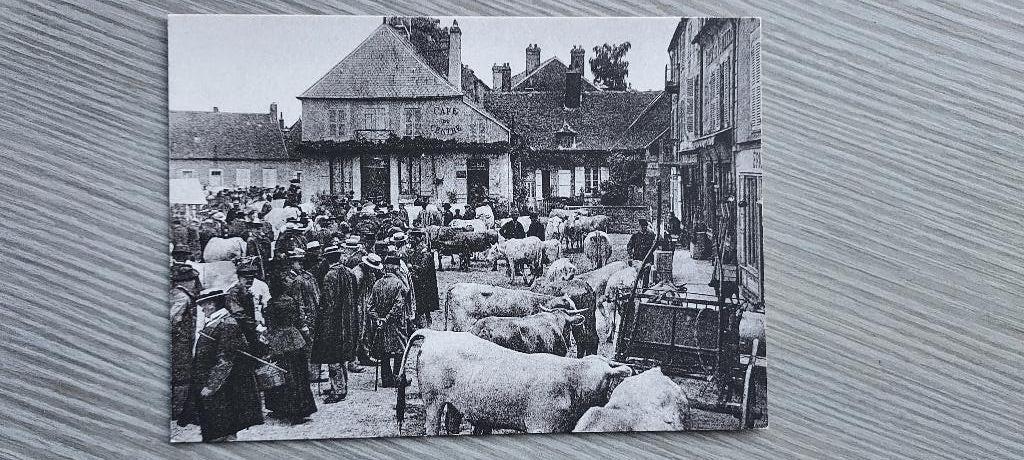 postkaart veemarkt in de Morvan, France, Collections, Cartes postales | Étranger, Envoi, Non affranchie, France