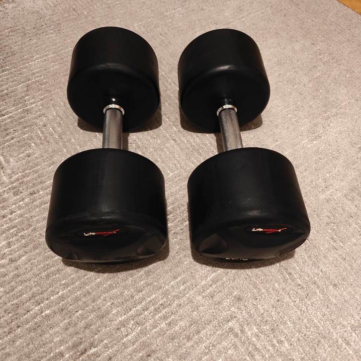 LifeMaxx Set van 2 Vaste Ronde Dumbbells / 2 X 20 kg, Sport en Fitness, Fitnessmaterialen, Zo goed als nieuw, Dumbbell, Ophalen