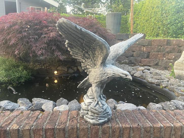 Aigle 60x60cm, Jardin & Terrasse, Statues de jardin, Neuf, Animal, Béton, Enlèvement