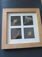 houten frame, Minder dan 50 cm, Gebruikt, Ophalen of Verzenden, Minder dan 50 cm