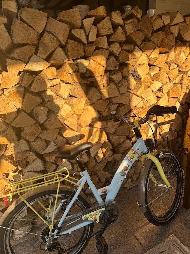 Kinderfiets, Ophalen, Gebruikt, Versnellingen