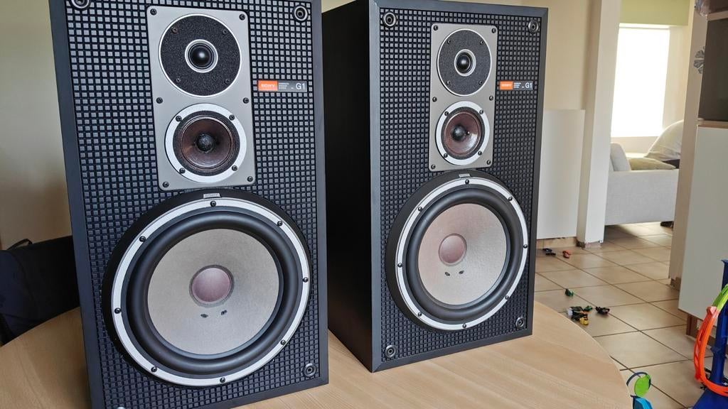 SONY SS-G1 MK2, TV, Hi-fi & Vidéo, Enceintes, Enlèvement, Sony