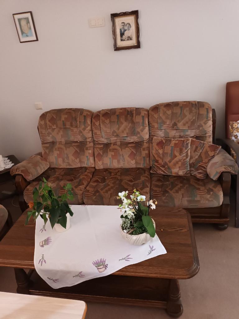 ‼️Salon in perfecte staat gratis‼️, Ophalen, Gebruikt, Hout