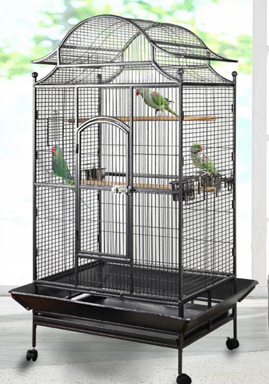 CAGE À PERROQUETS, CAGE À PERROQUETS, SHOPPING DAYS NEW, Enlèvement