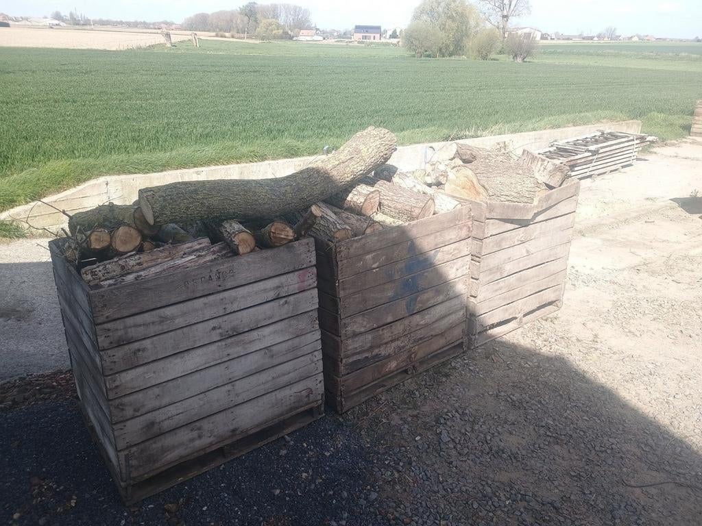 Brandhout wilg, Enlèvement, Troncs d'arbres