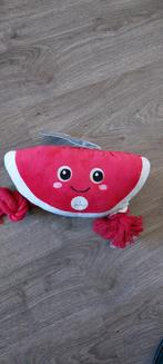 Nouveau jouet pour chien. Jouet pour chien, Enlèvement