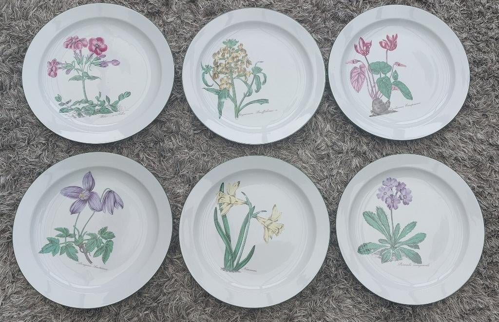 Borden Seltmann Weiden, Bavaria - 6 stuks, Enlèvement