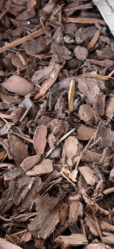 copeaux, Jardin & Terrasse, Terre & Fumier, Écorce de pin, Enlèvement