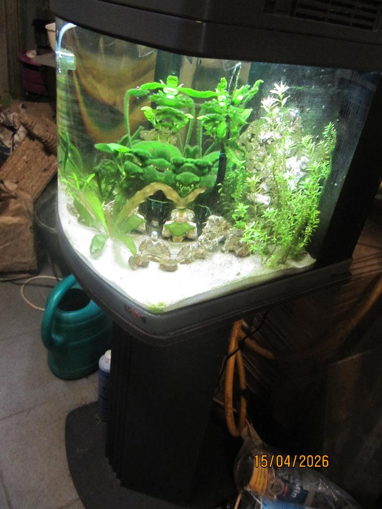 beplant Sera aquarium nano led cube 60 liter met meubel, Dieren en Toebehoren, Ophalen, Gebruikt, Sera