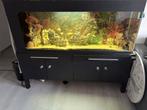 Aquarium met vissen en toebehoren, Dieren en Toebehoren, Ophalen, Gebruikt