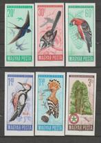 Hongarije  1809/14. xx - ongetand, Timbres & Monnaies, Timbres | Europe | Hongrie, Enlèvement, Non oblitéré